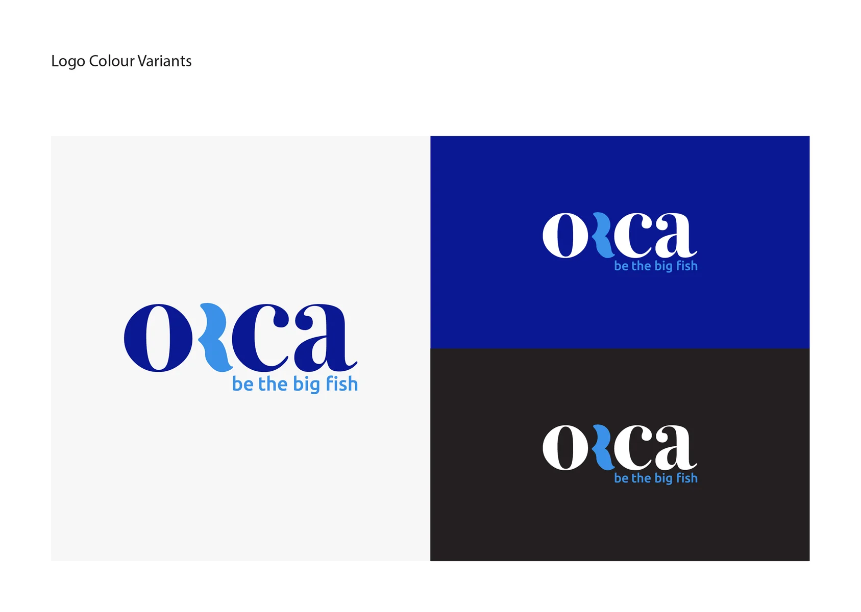 Logo colour variants